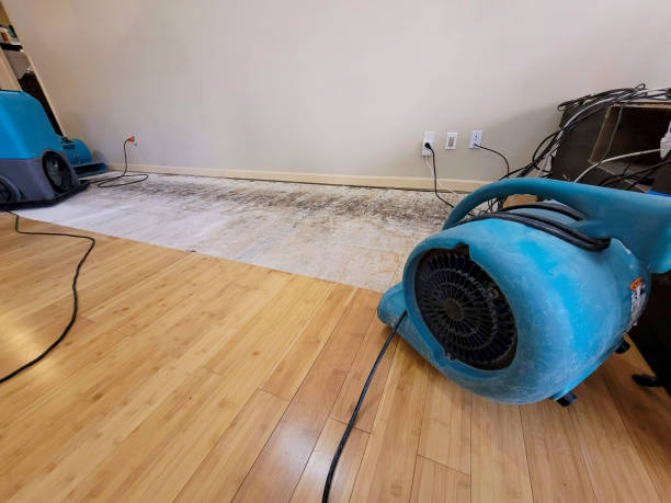 Professional Sewage Cleanup technician working in North Benton, OH